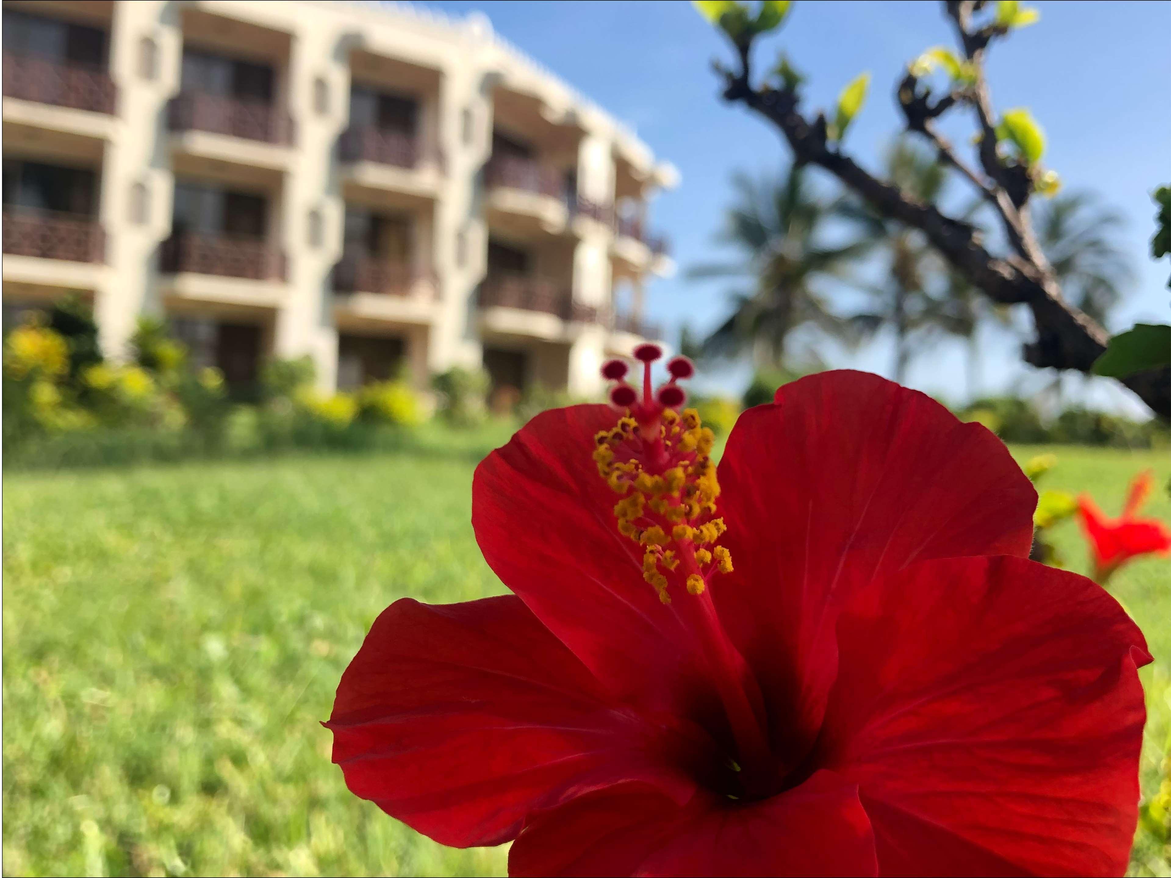 Golden Tulip Dar Es Salaam Hotel Екстериор снимка